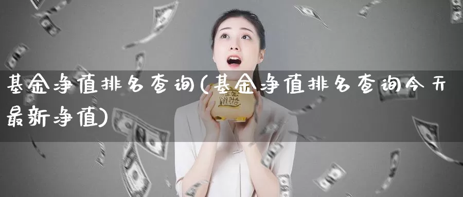基金净值排名查询(基金净值排名查询今天最新净值)_https://www.zzcnk.com_股票_第1张