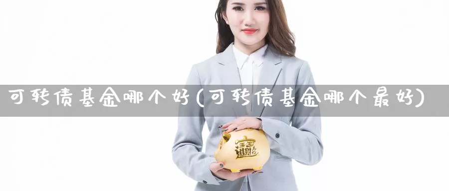 可转债基金哪个好(可转债基金哪个最好)_https://www.zzcnk.com_财经_第1张