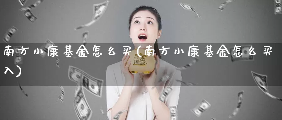 南方小康基金怎么买(南方小康基金怎么买入)_https://www.zzcnk.com_基金_第1张