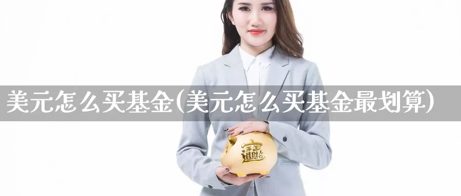 美元怎么买基金(美元怎么买基金最划算)_https://www.zzcnk.com_基金_第1张