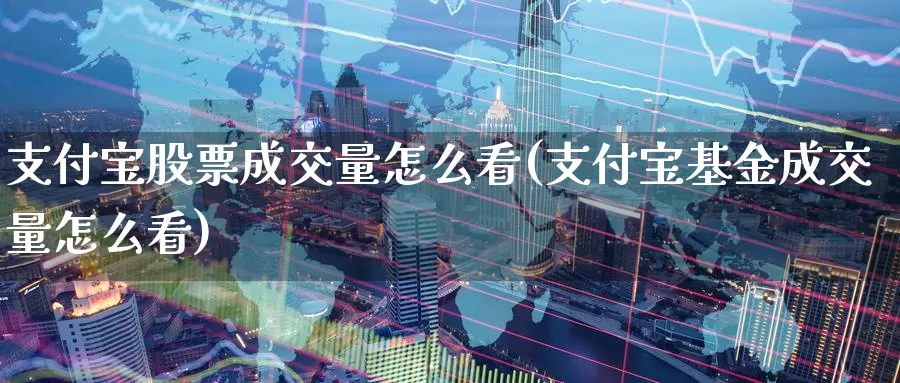 支付宝股票成交量怎么看(支付宝基金成交量怎么看)_https://www.zzcnk.com_股指期货_第1张