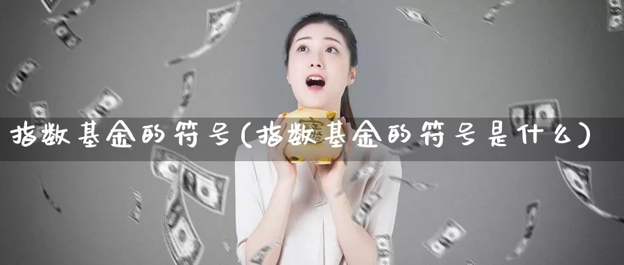 指数基金的符号(指数基金的符号是什么)_https://www.zzcnk.com_基金_第1张