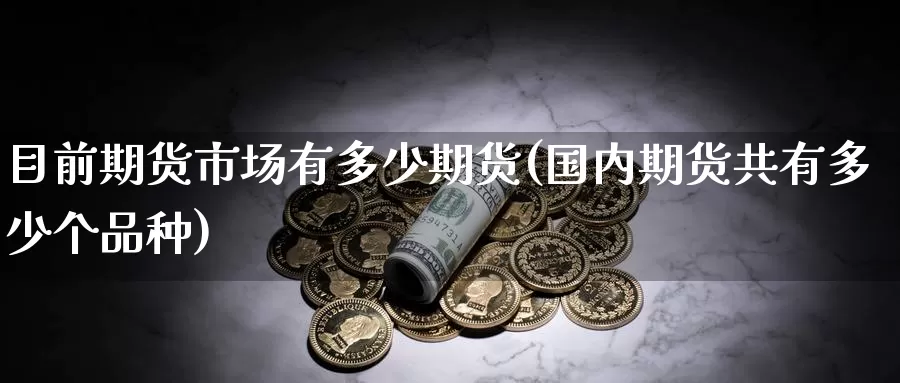 目前期货市场有多少期货(国内期货共有多少个品种)_https://www.zzcnk.com_期货百科_第1张