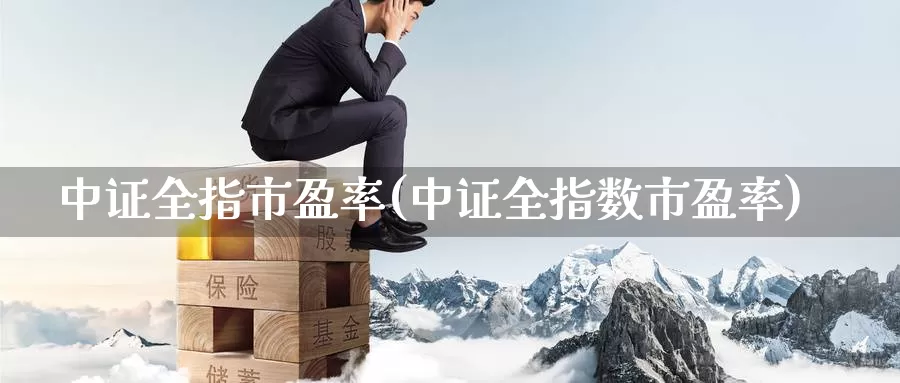 中证全指市盈率(中证全指数市盈率)_https://www.zzcnk.com_纳指期货_第1张