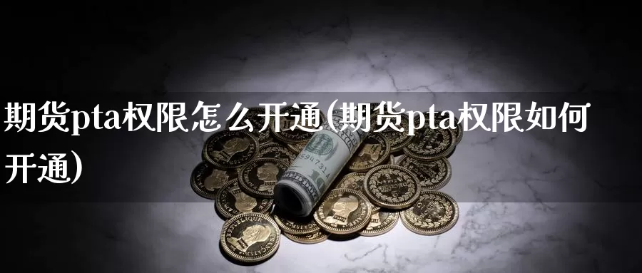 期货pta权限怎么开通(期货pta权限如何开通)_https://www.zzcnk.com_期货直播_第1张