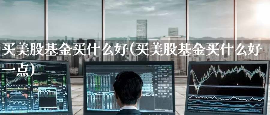 买美股基金买什么好(买美股基金买什么好一点)_https://www.zzcnk.com_理财_第1张