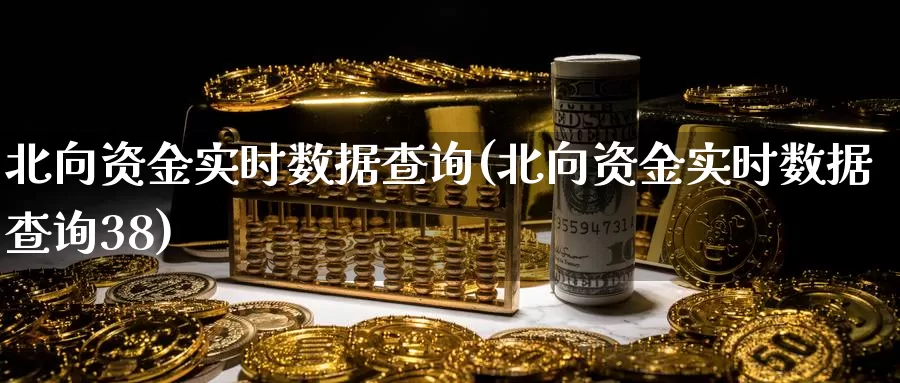 北向资金实时数据查询(北向资金实时数据查询38)_https://www.zzcnk.com_股指期货_第1张