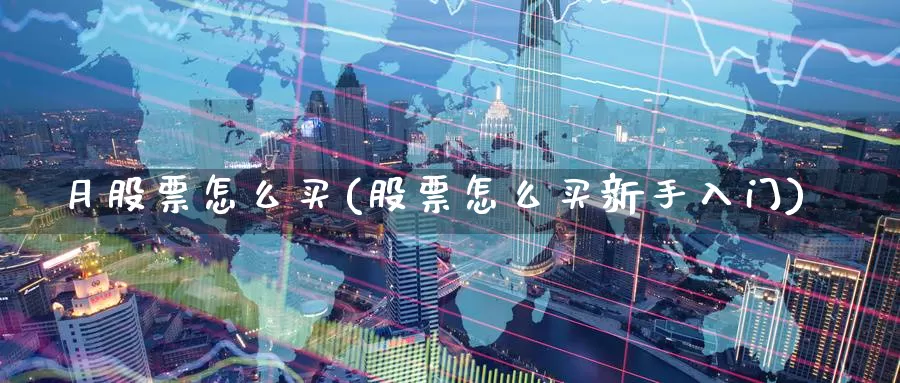 月股票怎么买(股票怎么买新手入门)_https://www.zzcnk.com_股票_第1张