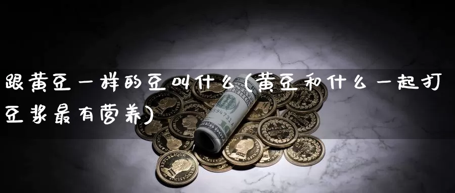 跟黄豆一样的豆叫什么(黄豆和什么一起打豆浆最有营养)_https://www.zzcnk.com_纳指期货_第1张