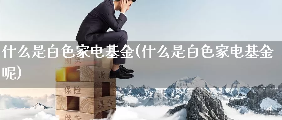 什么是白色家电基金(什么是白色家电基金呢)_https://www.zzcnk.com_基金_第1张