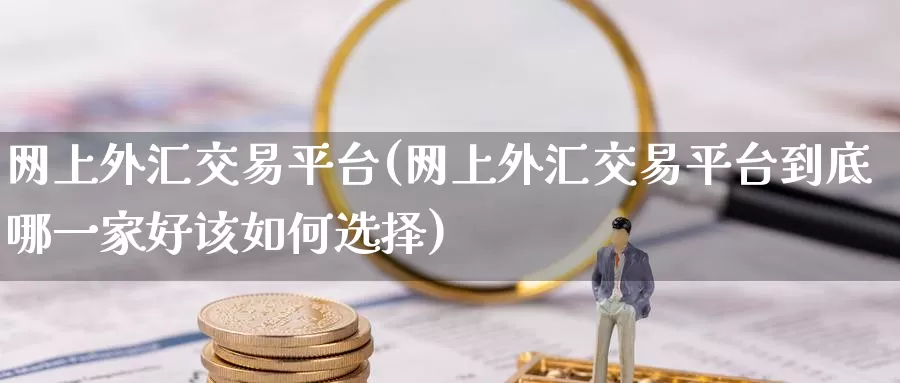 网上外汇交易平台(网上外汇交易平台到底哪一家好该如何选择)_https://www.zzcnk.com_恒生指数_第1张