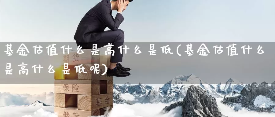 基金估值什么是高什么是低(基金估值什么是高什么是低呢)_https://www.zzcnk.com_基金_第1张