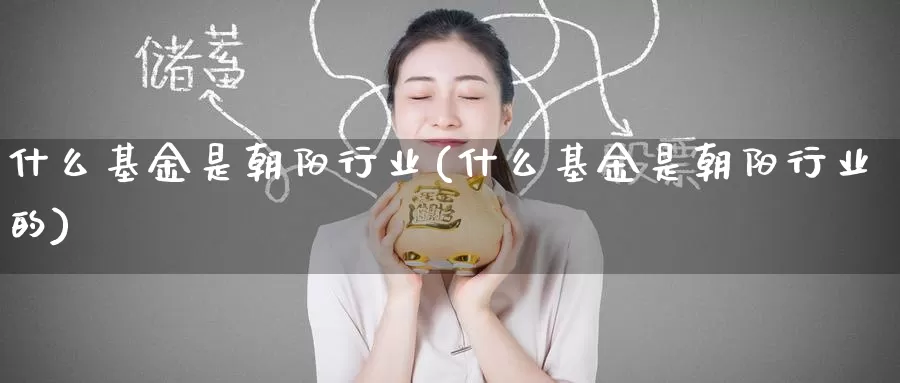 什么基金是朝阳行业(什么基金是朝阳行业的)_https://www.zzcnk.com_基金_第1张