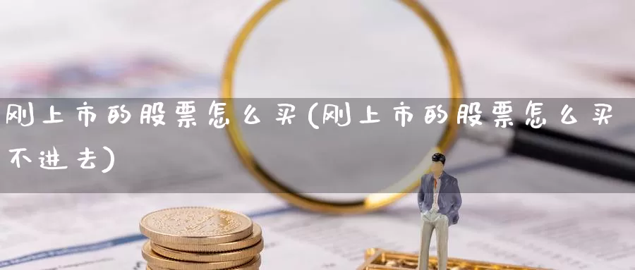 刚上市的股票怎么买(刚上市的股票怎么买不进去)_https://www.zzcnk.com_股票_第1张