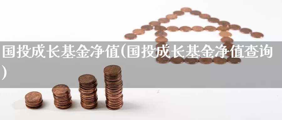 国投成长基金净值(国投成长基金净值查询)_https://www.zzcnk.com_期货_第1张