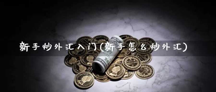 新手炒外汇入门(新手怎么炒外汇)_https://www.zzcnk.com_股指期货_第1张