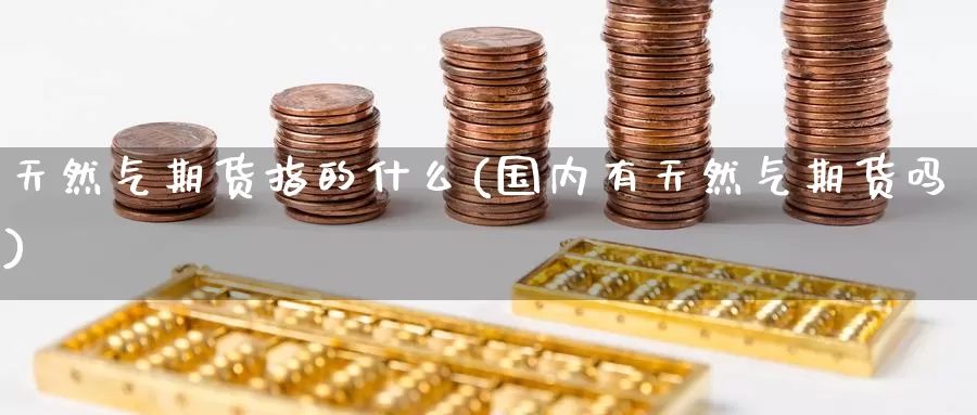 天然气期货指的什么(国内有天然气期货吗)_https://www.zzcnk.com_股指期货_第1张