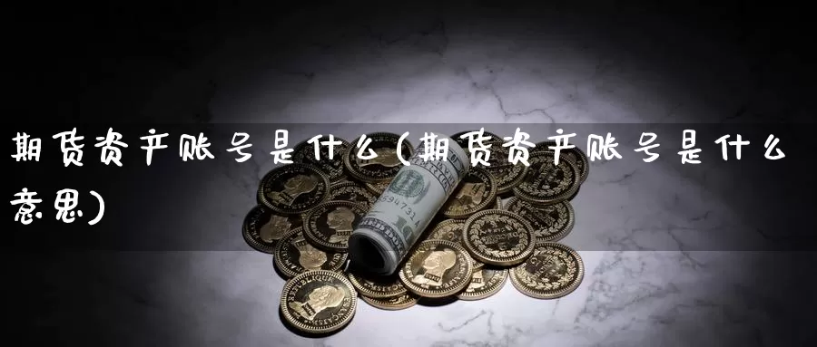 期货资产账号是什么(期货资产账号是什么意思)_https://www.zzcnk.com_期货_第1张