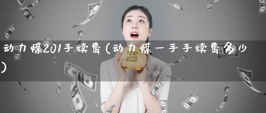 动力煤201手续费(动力煤一手手续费多少)_https://www.zzcnk.com_恒生指数_第1张