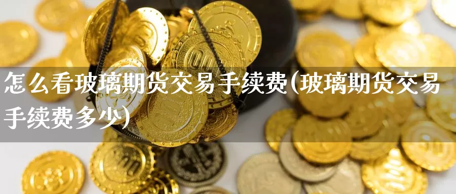 怎么看玻璃期货交易手续费(玻璃期货交易手续费多少)_https://www.zzcnk.com_恒生指数_第1张