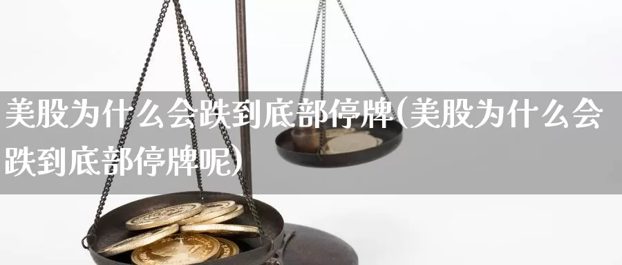 美股为什么会跌到底部停牌(美股为什么会跌到底部停牌呢)_https://www.zzcnk.com_理财_第1张