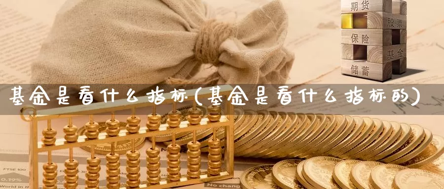 基金是看什么指标(基金是看什么指标的)_https://www.zzcnk.com_基金_第1张
