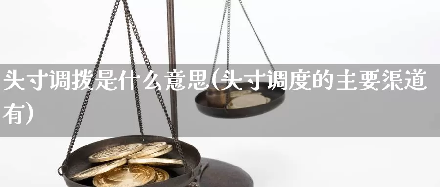 头寸调拨是什么意思(头寸调度的主要渠道有)_https://www.zzcnk.com_内盘期货_第1张