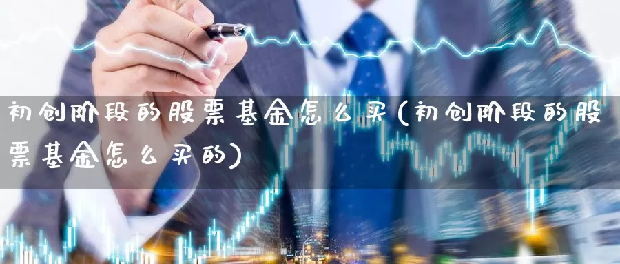 初创阶段的股票基金怎么买(初创阶段的股票基金怎么买的)_https://www.zzcnk.com_基金_第1张