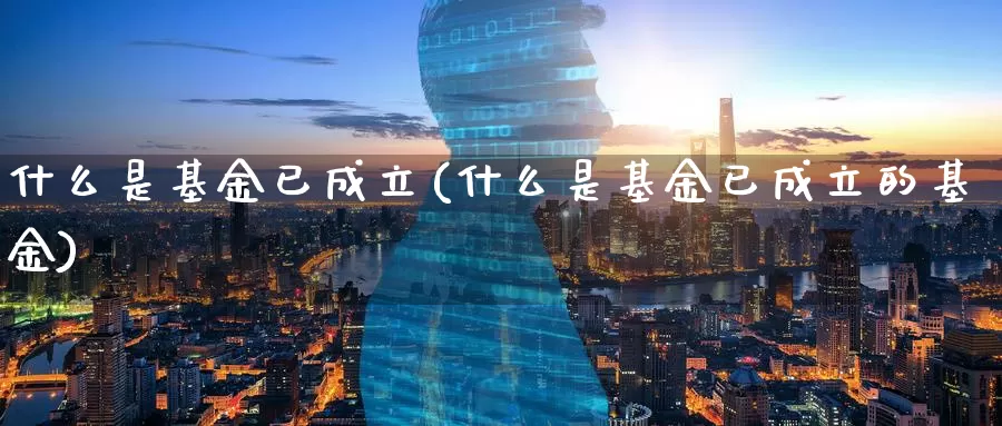 什么是基金已成立(什么是基金已成立的基金)_https://www.zzcnk.com_基金_第1张