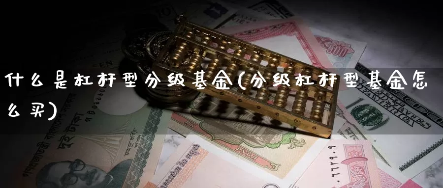 什么是杠杆型分级基金(分级杠杆型基金怎么买)_https://www.zzcnk.com_基金_第1张