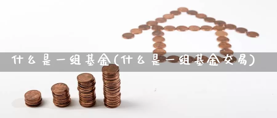 什么是一组基金(什么是一组基金交易)_https://www.zzcnk.com_基金_第1张