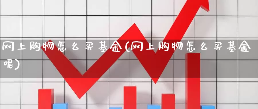 网上购物怎么买基金(网上购物怎么买基金呢)_https://www.zzcnk.com_期货_第1张