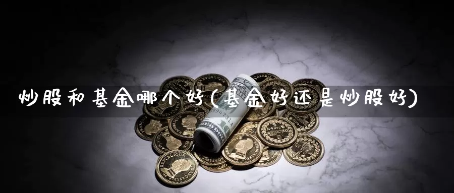 炒股和基金哪个好(基金好还是炒股好)_https://www.zzcnk.com_基金_第1张