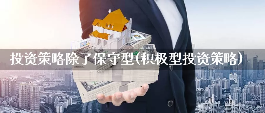 投资策略除了保守型(积极型投资策略)_https://www.zzcnk.com_股指期货_第1张