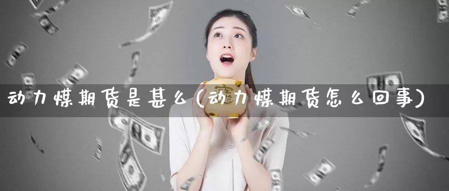 动力煤期货是甚么(动力煤期货怎么回事)_https://www.zzcnk.com_股指期货_第1张