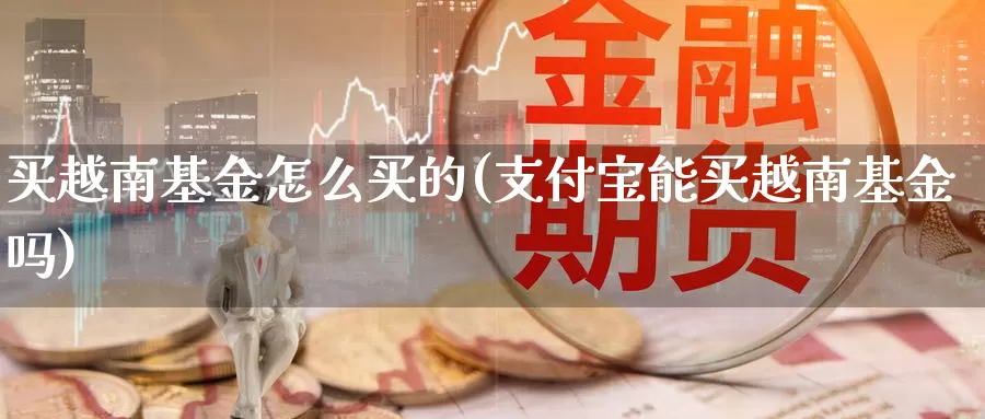 买越南基金怎么买的(支付宝能买越南基金吗)_https://www.zzcnk.com_基金_第1张