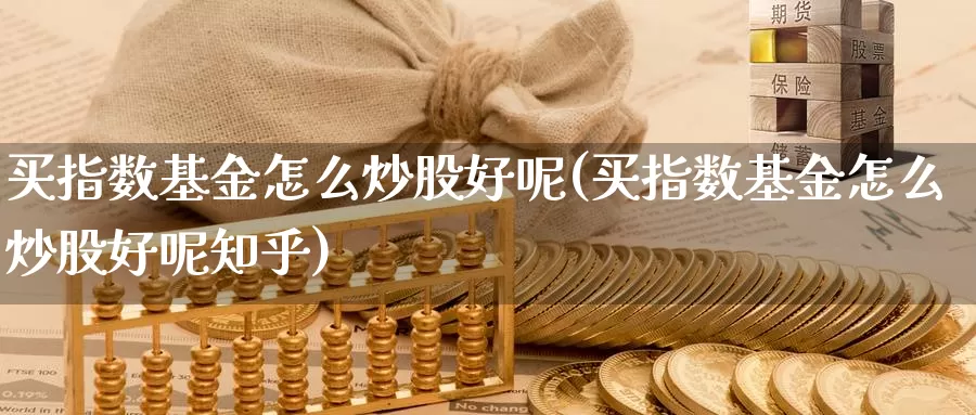 买指数基金怎么炒股好呢(买指数基金怎么炒股好呢知乎)_https://www.zzcnk.com_基金_第1张
