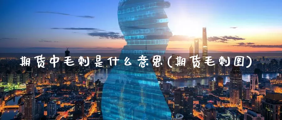 期货中毛刺是什么意思(期货毛刺图)_https://www.zzcnk.com_期货_第1张