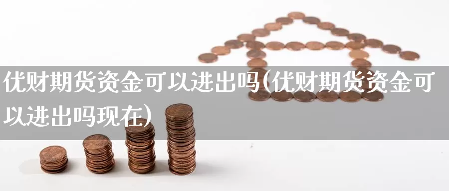 优财期货资金可以进出吗(优财期货资金可以进出吗现在)_https://www.zzcnk.com_纳指期货_第1张