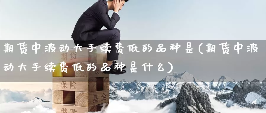 期货中波动大手续费低的品种是(期货中波动大手续费低的品种是什么)_https://www.zzcnk.com_期货直播_第1张