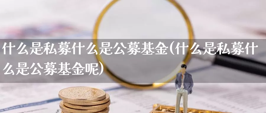什么是私募什么是公募基金(什么是私募什么是公募基金呢)_https://www.zzcnk.com_基金_第1张