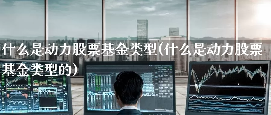 什么是动力股票基金类型(什么是动力股票基金类型的)_https://www.zzcnk.com_基金_第1张