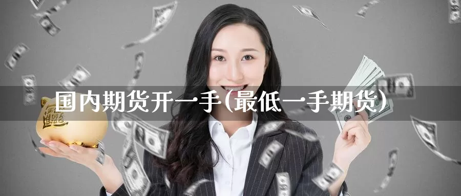 国内期货开一手(最低一手期货)_https://www.zzcnk.com_纳指期货_第1张