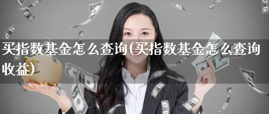 买指数基金怎么查询(买指数基金怎么查询收益)_https://www.zzcnk.com_基金_第1张