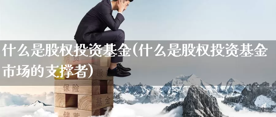 什么是股权投资基金(什么是股权投资基金市场的支撑者)_https://www.zzcnk.com_股指期货_第1张