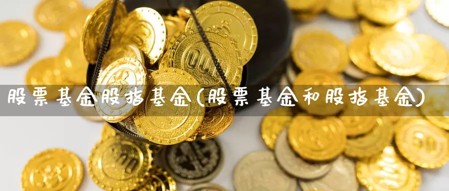 股票基金股指基金(股票基金和股指基金)_https://www.zzcnk.com_期货_第1张
