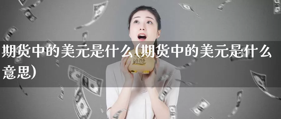 期货中的美元是什么(期货中的美元是什么意思)_https://www.zzcnk.com_期货_第1张