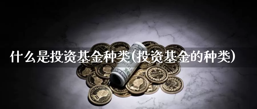 什么是投资基金种类(投资基金的种类)_https://www.zzcnk.com_基金_第1张