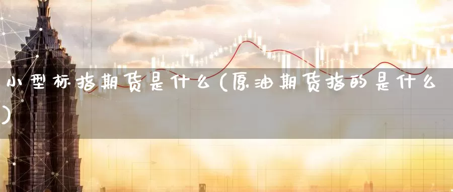 小型标指期货是什么(原油期货指的是什么)_https://www.zzcnk.com_理财_第1张
