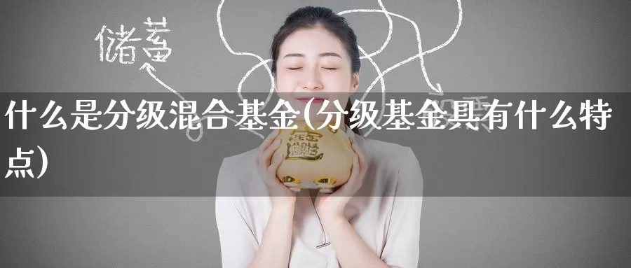 什么是分级混合基金(分级基金具有什么特点)_https://www.zzcnk.com_基金_第1张